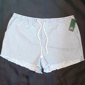 Wild Fable Shorts